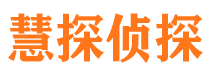 江都市侦探公司